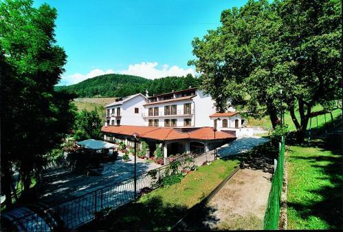 Отель Hotel Belvedere