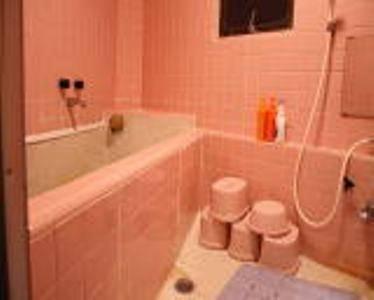 Ladies Inn Sakata