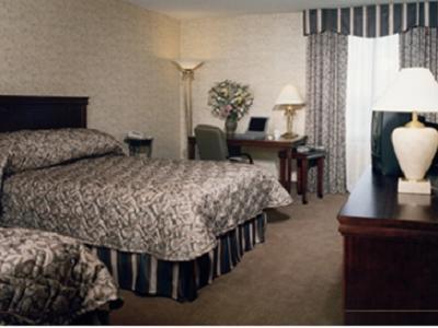 Отель Waterloo Inn Conference Hotel