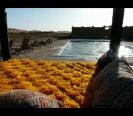 Мини-отель Bivouac Sahara Adventures