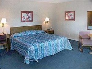 Отель Econo Lodge South