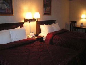 Отель Comfort Inn North