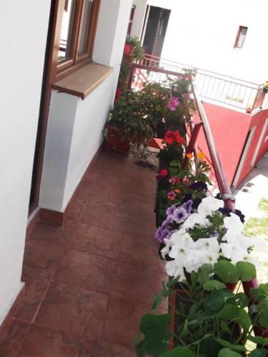 Апартаменты Apartments Bozana Vojinovic