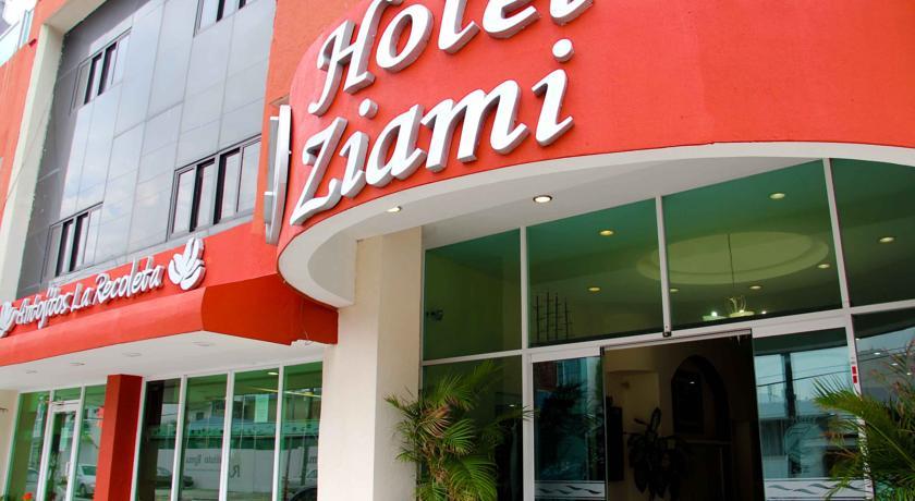 Отель Hotel Ziami