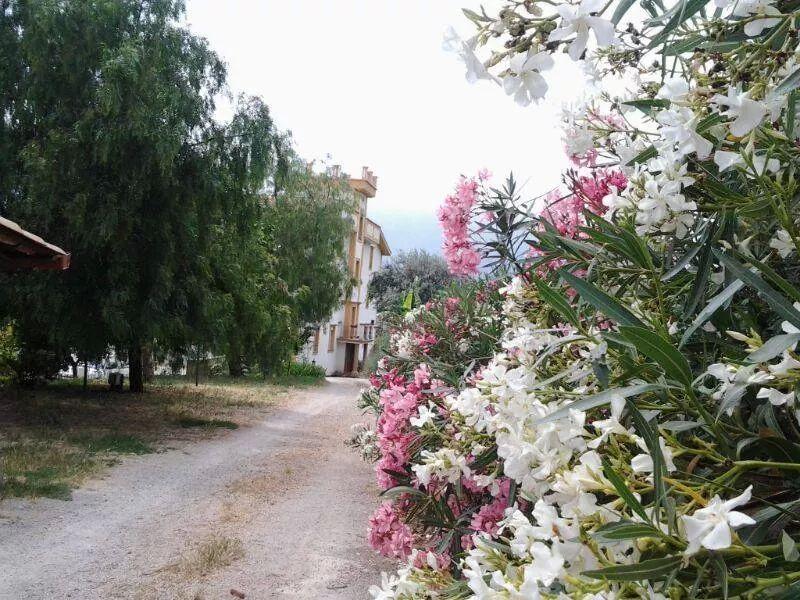 Мини-отель Rocca Di Monreale