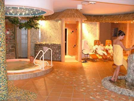 Отель Wellness-Ferien-Seminarhotel Raxalpenhof