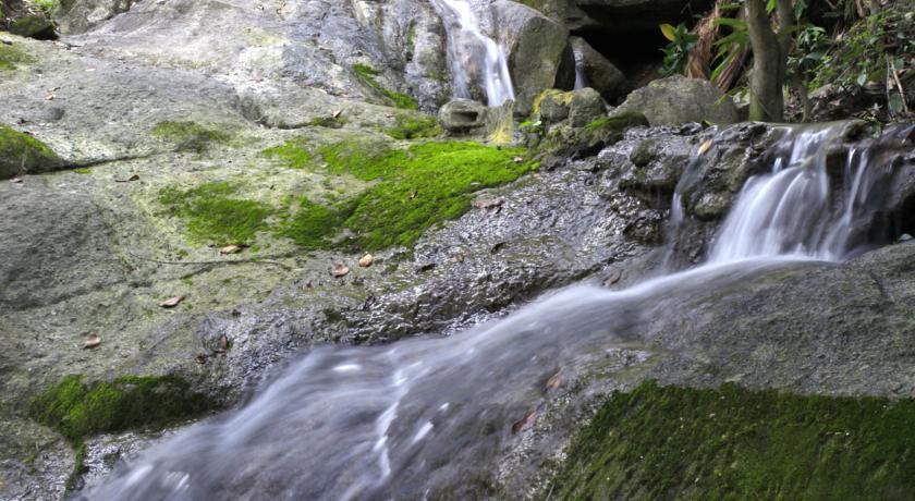 Nature Park Resort