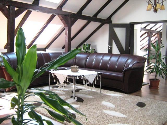 Апартаменты Vila Lupilor