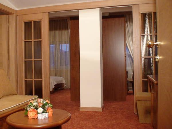 Отель Hotel BaMBiS