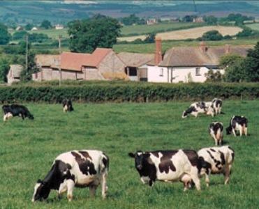 Мини-отель Rydon Farm