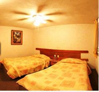 Отель Hotel Avenida