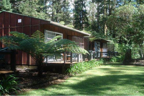 Отель Woodlands Motel
