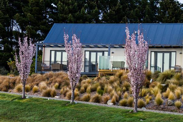 Мини-отель Websters on Wanaka Lodge & Apartments