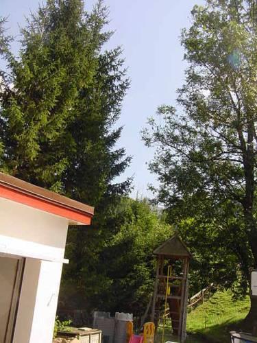 Отель Hotel Restaurant Belvedere