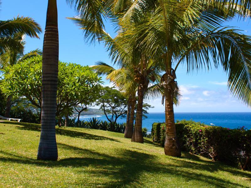 Iloha Seaview hôtel