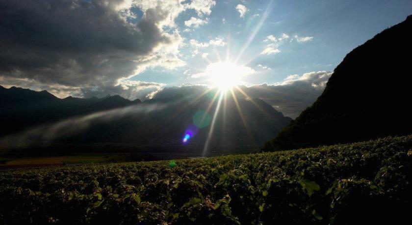 Апартаменты Clos des Caillettes