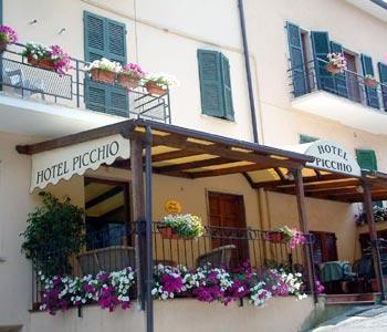 Отель Hotel Picchio