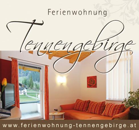 Апартаменты Appartement - Ferienwohnung Tennengebirge