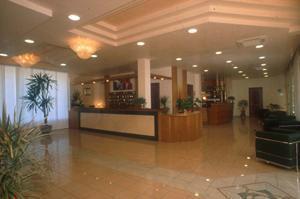 Отель Hotel Palladio