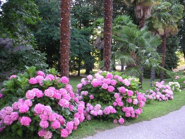 Отель Hotel Le Mas Fleuri