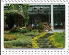 Отель Hotel Palmas del Sol