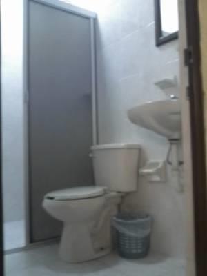 Отель Hotel Moreno