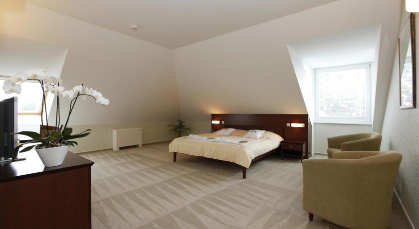 Отель Hotel Sandor Pavillon