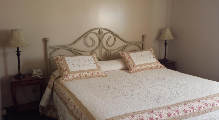 Отель The City Motel