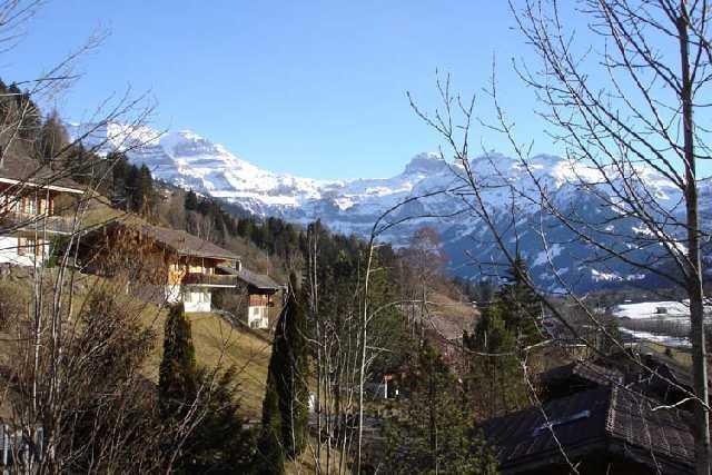 Апартаменты Chalet Iris