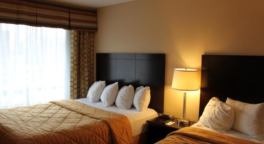 Отель Comfort Inn East Scarborough