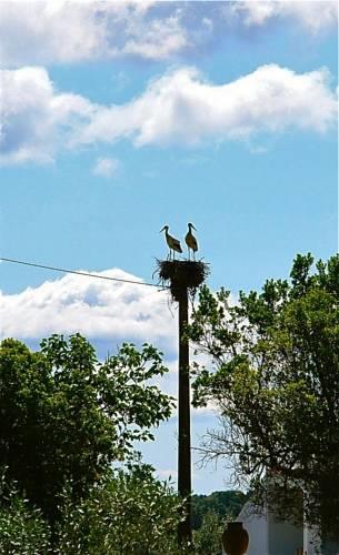 Гостевой дом Quinta da Bela Vista