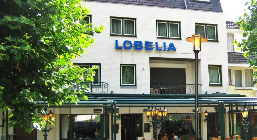 Отель Hotel Lobelia