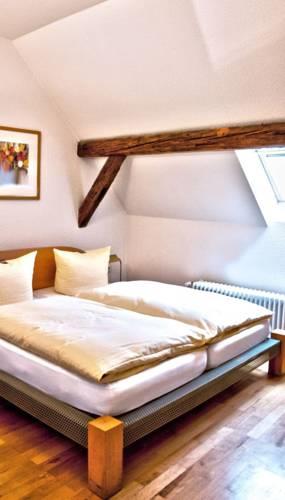 Отель Hotel Goldener Falke