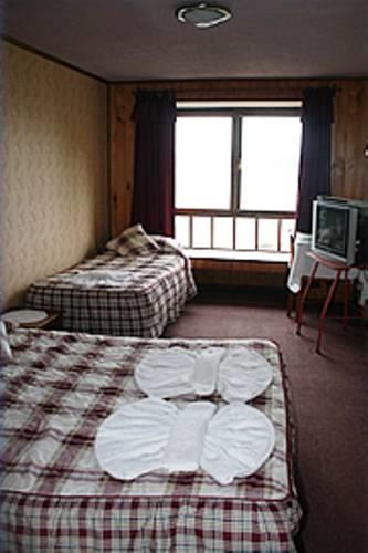 Отель Hotel Lagune Club