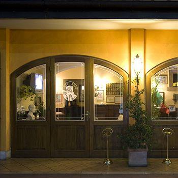 Отель Hotel Villa Plauzi