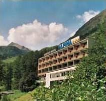 Отель Hotel Alpina