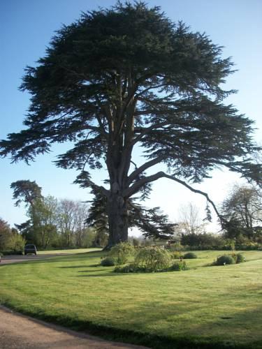 Отель Glewstone Court Country House Hotel