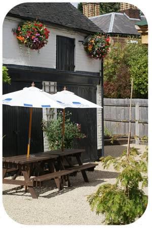 Отель Cock Hotel