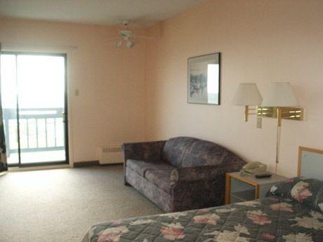 Отель Hotel Motel Bellevue
