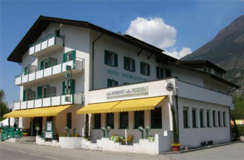 Отель Hotel Goldrainerhof