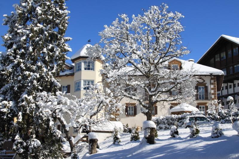 Отель Hotel Garnì Laurino