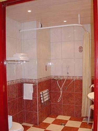 Отель Hotel Le Cèdre