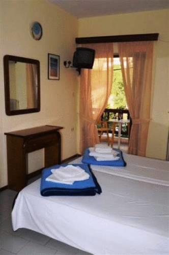 Отель Hotel Petunia