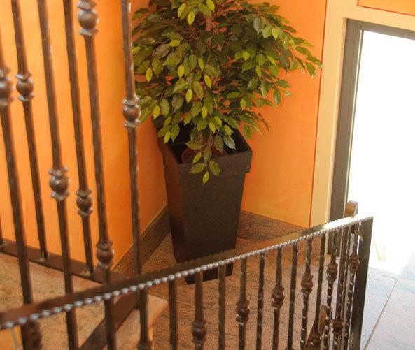 Отель Hotel Villa Rosa