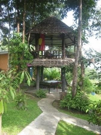 Amy's Earth House