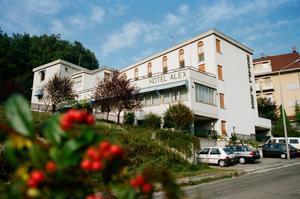 Отель Hotel Alex
