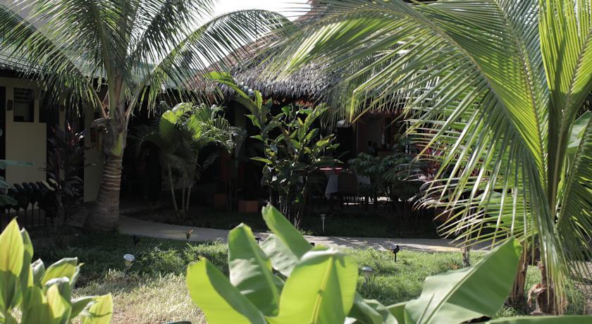 Отель Hotel Amazon Bed And Breakfast