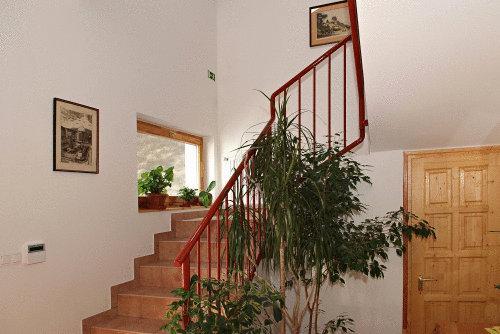 Хостел Liszt Hostel