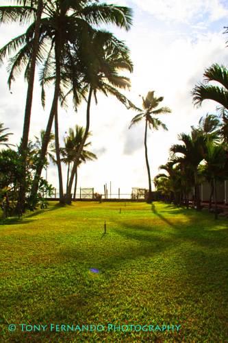 Отель Ceylonica Beach Hotel