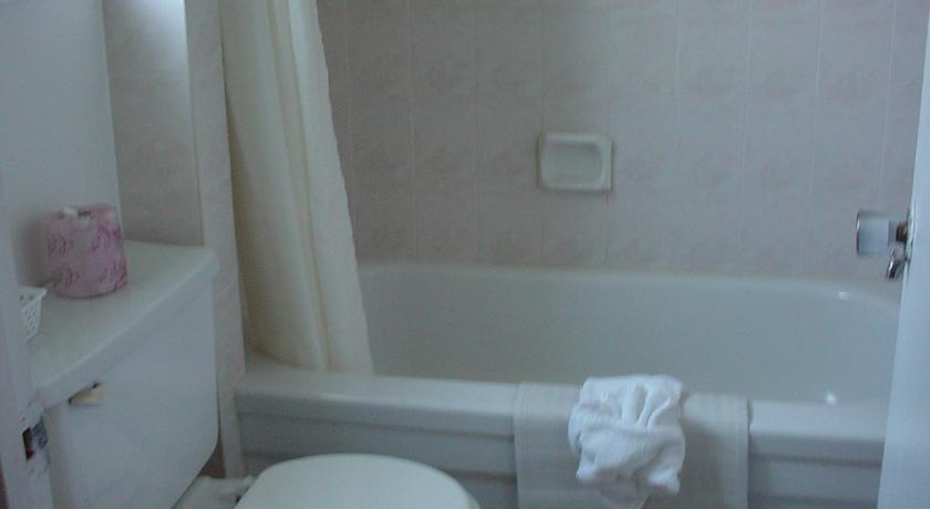 Отель Blue Moon Motel